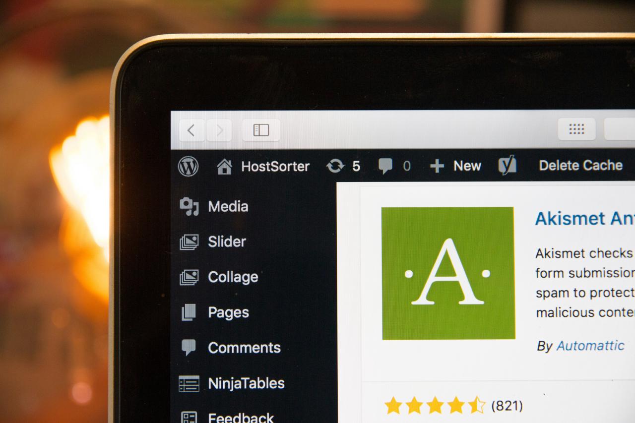 Close-up of a laptop screen with the WordPress dashboard